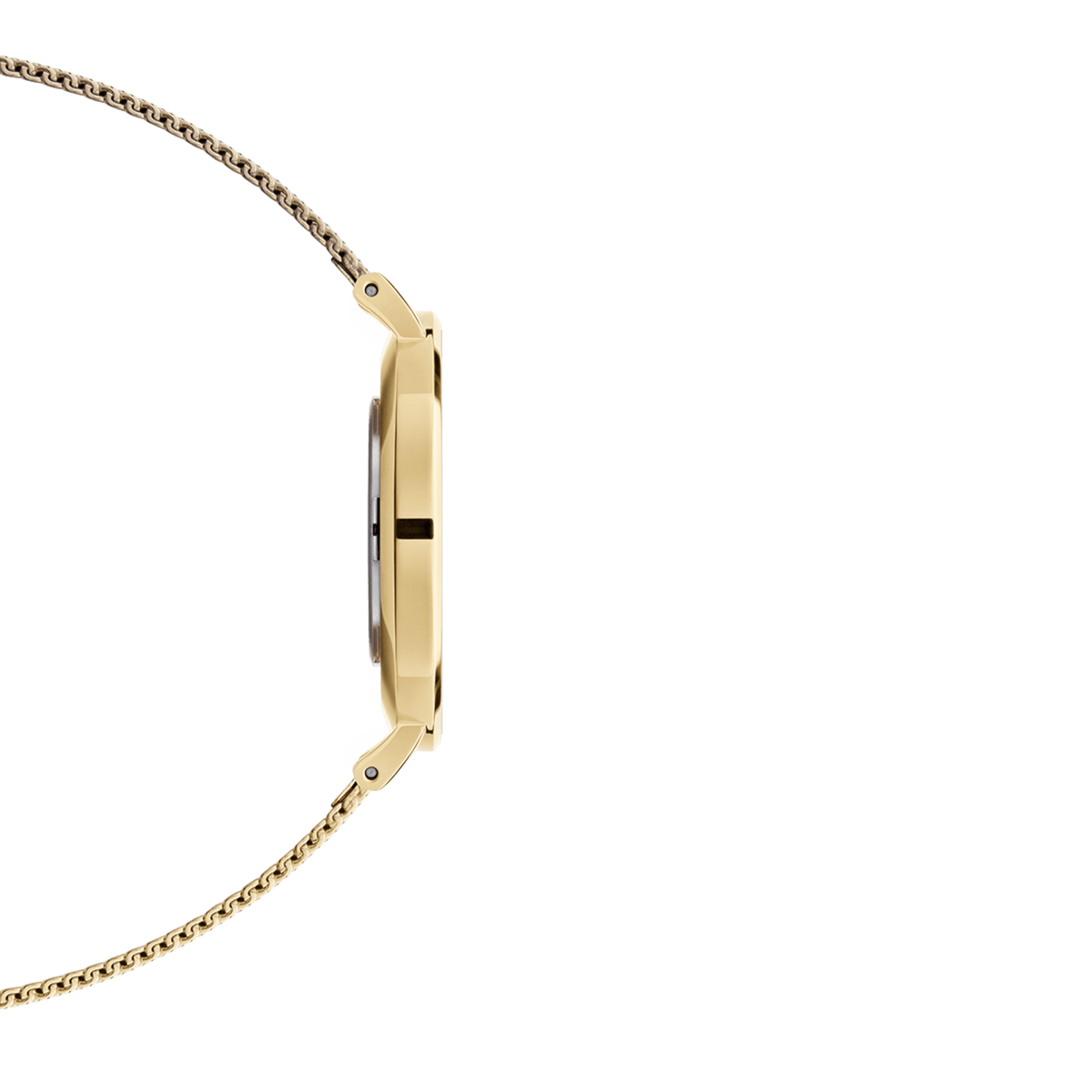 Side profile of the Daniel Wellington Petite Evergold watch showing its slim gold-plated case and lightweight mesh strap, highlighting the elegant and comfortable design.