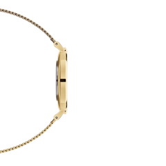 Side profile of the Daniel Wellington Petite Evergold watch showing its slim gold-plated case and lightweight mesh strap, highlighting the elegant and comfortable design.
