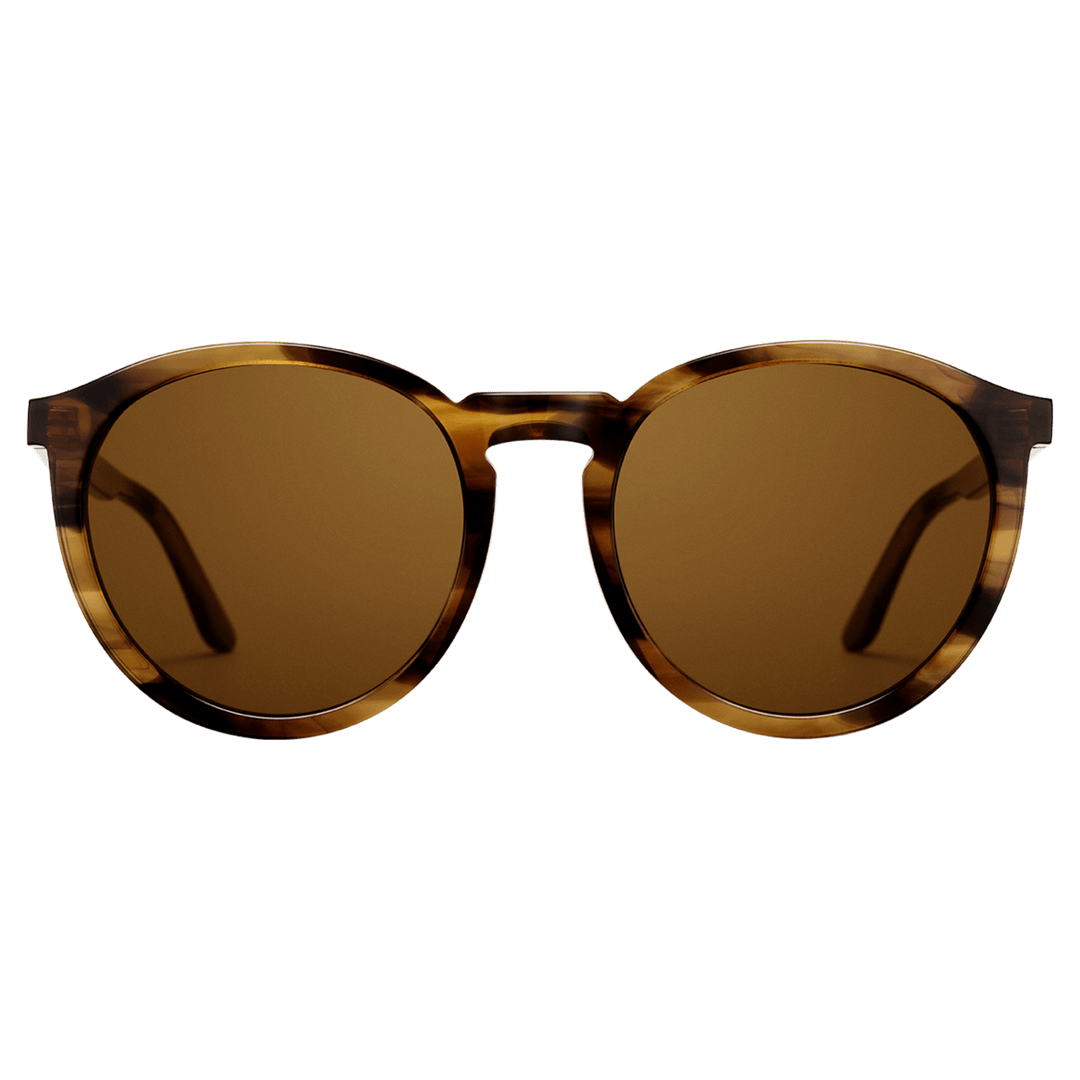DKNY Brown Acetate Sunglasses