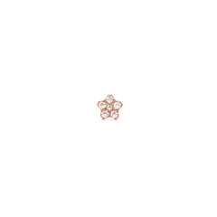 Crystal Star Stud Rose Gold earring featuring a petite star shape with sparkling cubic zirconia crystals and a polished rose gold finish, ideal for everyday wear or stacking.