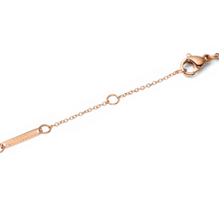 Detail of the Audrey Necklace Tiger Eye Rose Gold adjustable chain, showing the lobster clasp and Daniel Wellington branded tag in rose gold finish.