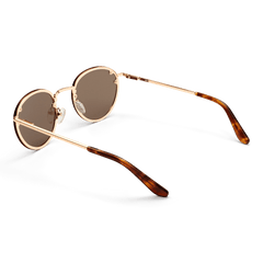 Arch Steel Brown Rose Gold sunglasses with round brown UV400 nylon lenses, rose gold plated stainless steel frame, and tortoiseshell acetate temple tips, shown from the back to highlight the slim arms and adjustable silicone nose pads.