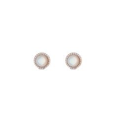 A pair of Daniel Wellington Audrey Earrings featuring round mother of pearl centres framed by a halo of sparkling white cubic zirconia, set in rose gold with a minimalist stud design.