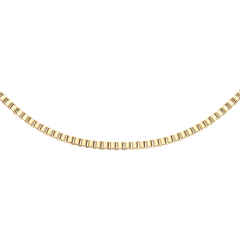 Box Chain Necklace G featuring a slim, polished gold box chain design with adjustable length, crafted from stainless steel with gold PVD plating for a refined, versatile look.